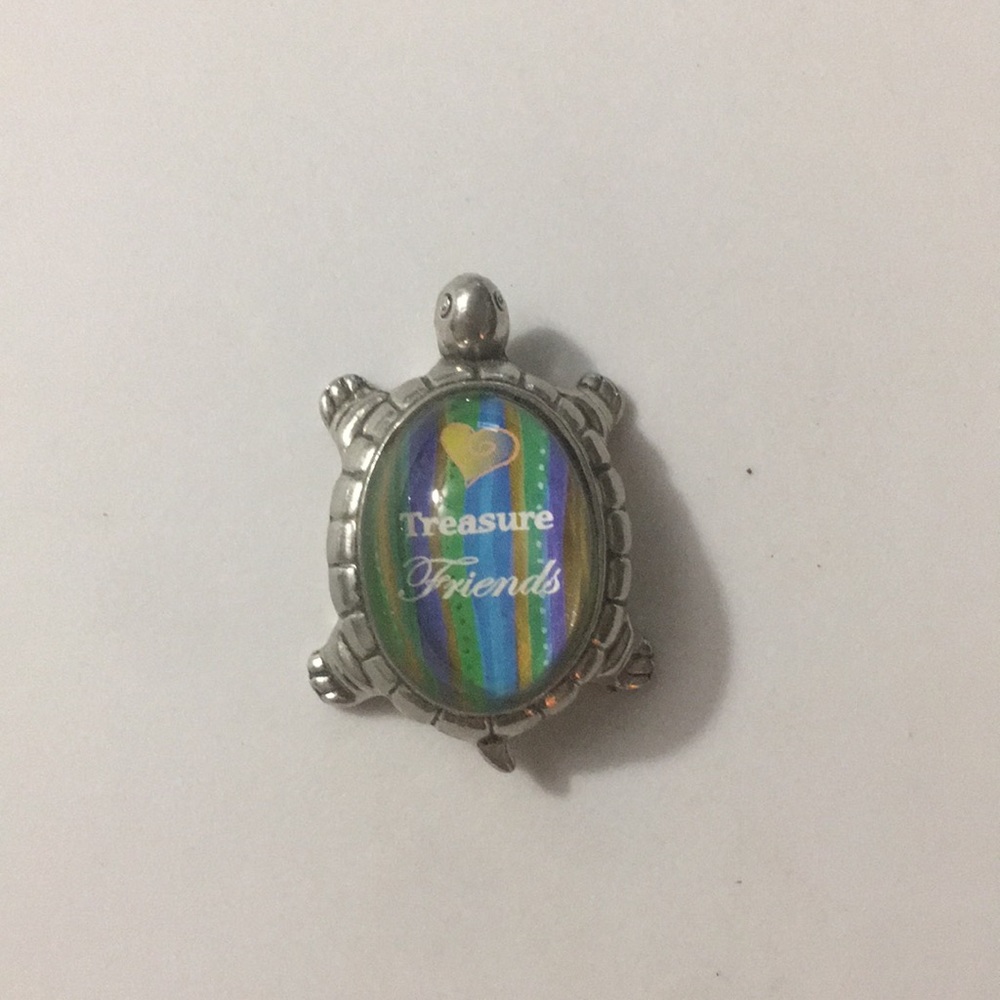 Turtle Charm